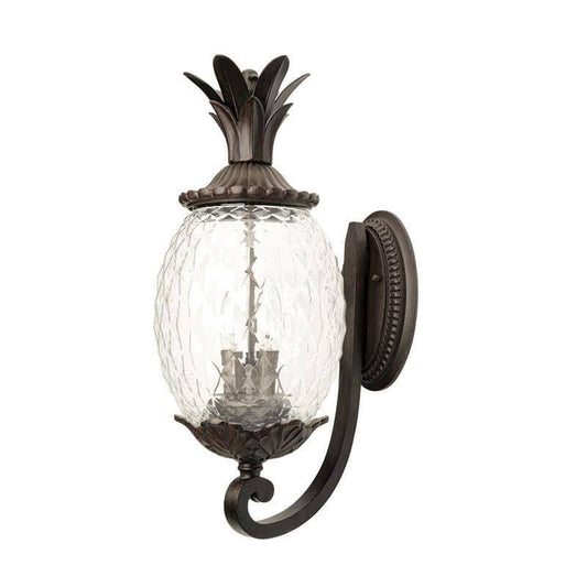 Acclaim 7501BC Lanai Collection 2-Light Wall Mount Outdoor Light Fixture, Black Coral